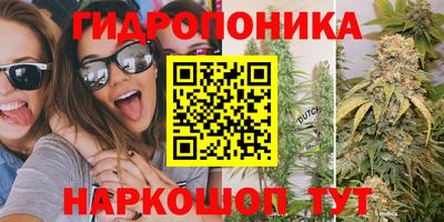 тгк Краснодар